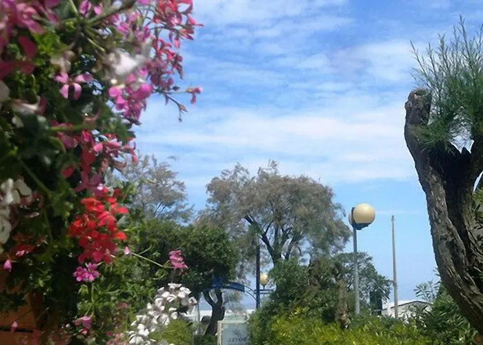 Caggiari Hotel Senigallia